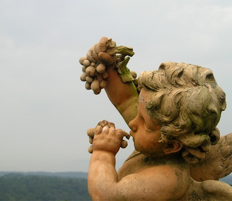 卡密自动发货的轰炸短信在线使用