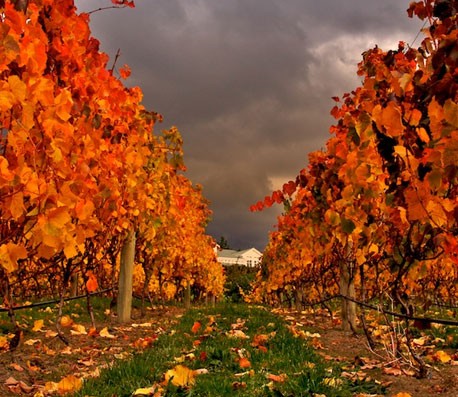 在线超级轰炸电话网页版